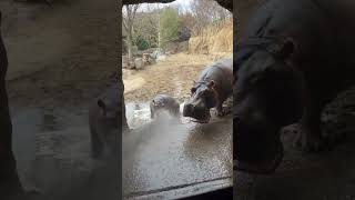 Fun with the Hose