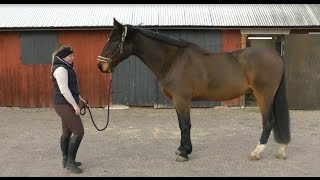 Boppen får en makeover