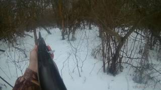 Охота на косулю Волгоградская область.