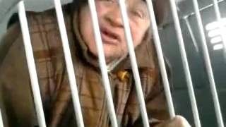 людка хулиганка