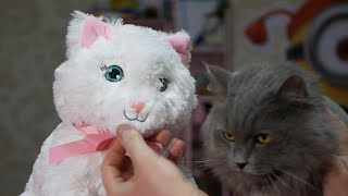 ИНТЕРАКТИВНАЯ КОШКА COCO! КАК КОТ ОТРЕАГИРОВАЛ НА ИГРУШКУ???