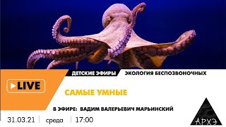 Детский эфир "Самые умные" в рубрике "Экология беспозвоночных" с Вадимом Марьинским