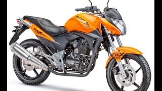 STELS Flex 250 мотоцикл для начинающих Стелс Флекс 250