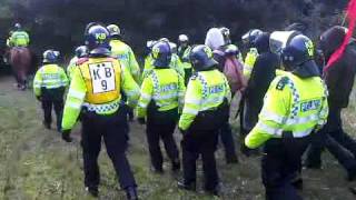 SmashEDO being led away from Wild Park