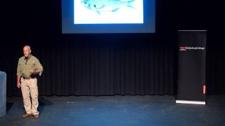 A Shifting Paradigm in the Galápagos | Jack Grove | TEDxGettysburgCollege
