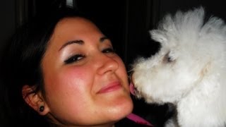 Tag: il mio amico peloso Kimo ... e non solo!!