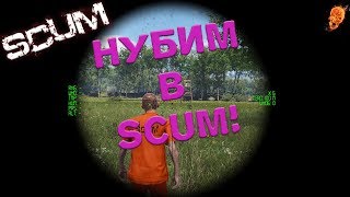 SCUM НУБИМ!!!