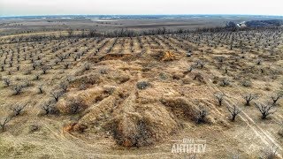 Зона Супперта - тайна скифского некрополя 20.02.2019