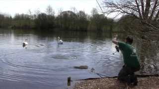 Richworth's S-core Bait in action