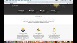 عملة جيدة للاستثمار على المدى الطويل ChainX