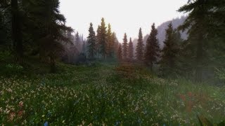 SKYRIM INSANE GRAPHICS - Realvision ENB