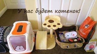 ПОКУПАЕМ ПИТОМЦА ? Что нужно котёнку? Готовимся к покупке котёнка!!!