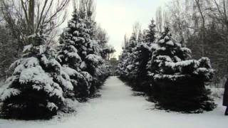 добрый вечер,лисичане! (в журавлев)