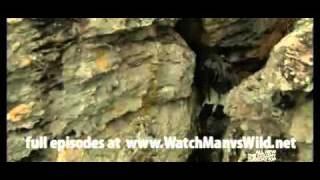 Man vs. Wild - Northern Australia Season 5 Episode 2 (1 of 5)