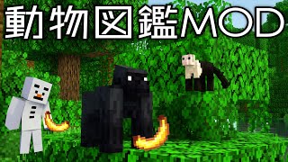 #13【動物図鑑MOD】生命の宝庫ジャングルで大冒険!!【あかがみん/赤髪のとも】