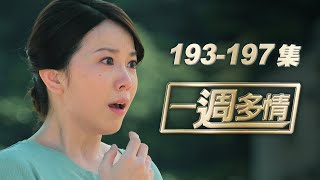 一週多情 EP193-197 | 堯王殞落！枕邊人害家破人亡？！
