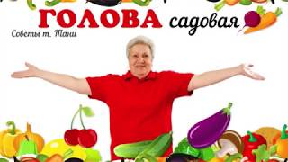 Голова садовая - ВАЖНО! Как подготовить парник для перцев