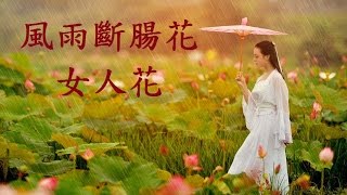 風雨斷腸花(楊凱帆,張琴思)+女人花(梅艷芳), 左聲道伴奏音樂, 卡拉OK字幕