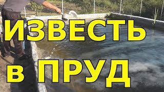Вносим известь в пруд Чтобы вода не цвела Известкование пруда Как очистить воду #ПавелВоеводский