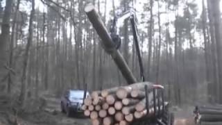 Palms 675 от Камсэл