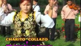 Nadie es eterno en el mundo Charito collazo Orq Santarosa de alpacocha