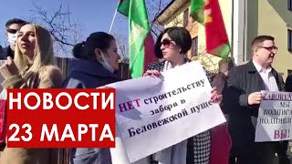 Белорусы против забора в Беловежской пуще. Ситуация в Украине. Усиление границы | Новости 23.03.2022