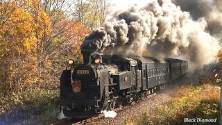 さよなら「SLニセコ号」　C11207 晩秋の山線をゆく