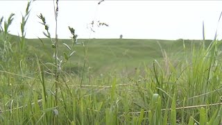 Шетелдіктердің жалға алған жерлеріне қадағалауды күшейткен жөн (29.04.16)