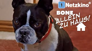 Bone Allein Zu Haus (Weihnachtsfilm mit David DeLuise, kompletter Film auf Deutsch, ganzer Film)