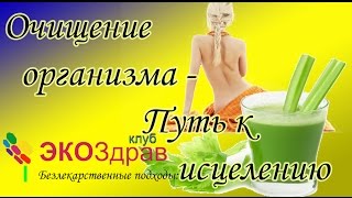 Гуреева Ольга - Очищение организма- Путь к исцелению