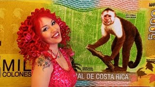 Tina's Back from Costa Rica + Meet Saswatch the Swatchie Swatch!