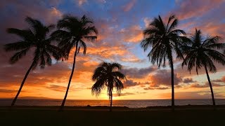 Maui - The Valley Isle - Glidecam HD 2000