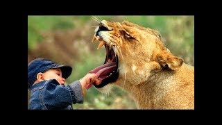 ТОП5 САМЫХ УМНЫХ ЖИВОТНЫХ В МИРЕ