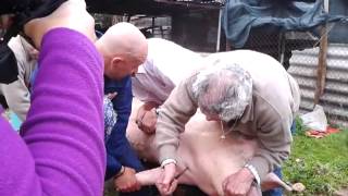 Mouriscas-20121231 084757