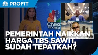 Uji Jurus Pemerintah Naikkan Harga TBS Sawit, Sudah Efektif?