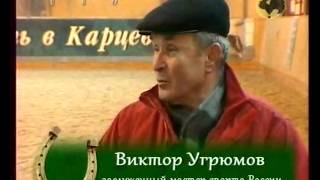 Виктор Угрюмов о конном спорте.