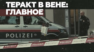 По меньшей мере пять погибших: что известно о теракте в центре Вены