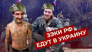 Мобилизация по-русски: Российские зэки едут воевать в Украину, что им обещают?