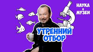 Утренний отбор. Рыбный день: поиск лох-несского чудовища, супер черная рыба и Горлум. Игорь Фадеев