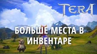 TERA гайд - больше места в инвентаре. Питомец Енотас