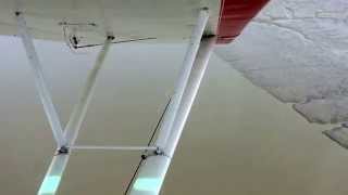 Beluga Whales - Big Susitna River Alaska from my Super Cub
