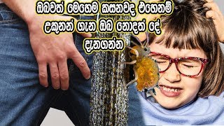ඔබවත් මෙහෙම කසනවද? උකුනන් ගැන ඔබ නොදත් කතා - Tales you didn't know about lice