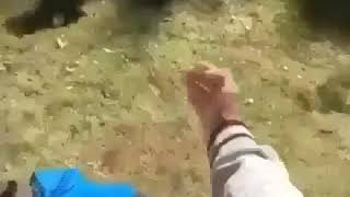 Cyclops.exe