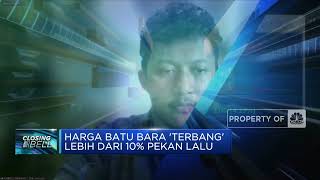 Sempat Terbang Tinggi, Harga Batu Bara Mereda?