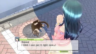 Tsubasa Cat Sidequest - Tokyo Mirage Sessions #FE