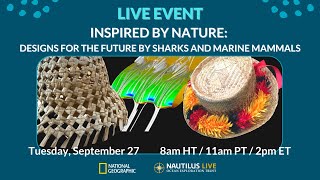 Inspired by Nature: How sharks & marine mammals inspire future designs