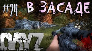 #24 - В ЗАСАДЕ. БОЧКИ И БАГИ | DayZ Standalone ВЫЖИВАНИЕ