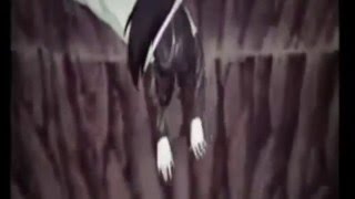 (Naruto Shippuden) Orochimaru AMV (Part 1)
