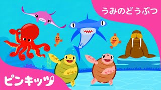 うみのダンス | うみのどうぶつ | どうぶつのうた | 楽しく学ぼう！ | 知育動画 | キッズ | ピンキッツ!