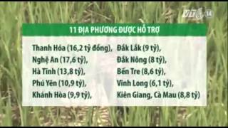 VTC14_Hỗ trợ gần 120 tỷ đồng khắc phục hậu quả hạn hán